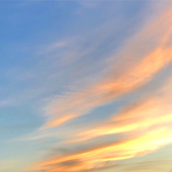 Meet your Posher, Kevin - Picture 1 of 1